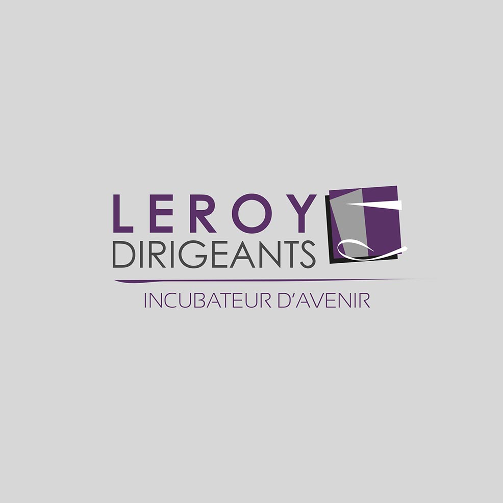 Refonte logo Leroy Dirigeants - Graphistes freelance Hérault Montpellier Bézier Pézenas